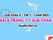 Giải bài 6 trang 77 Toán 8 Tập 1 SGK Cánh Diều